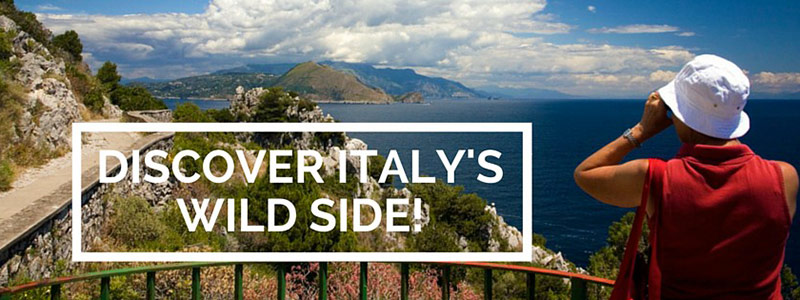 ItalyTraveller January Newsletter ItalyTraveller January Newsletter